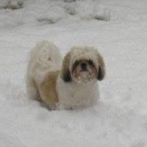 Meet your Posher, Trouper